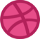 dribbble icon